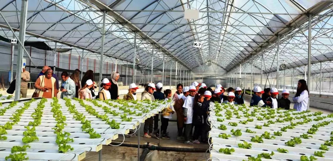 Samsun'da Lider Çocuk Tarım Kampı Etkinliği Gerçekleştirildi