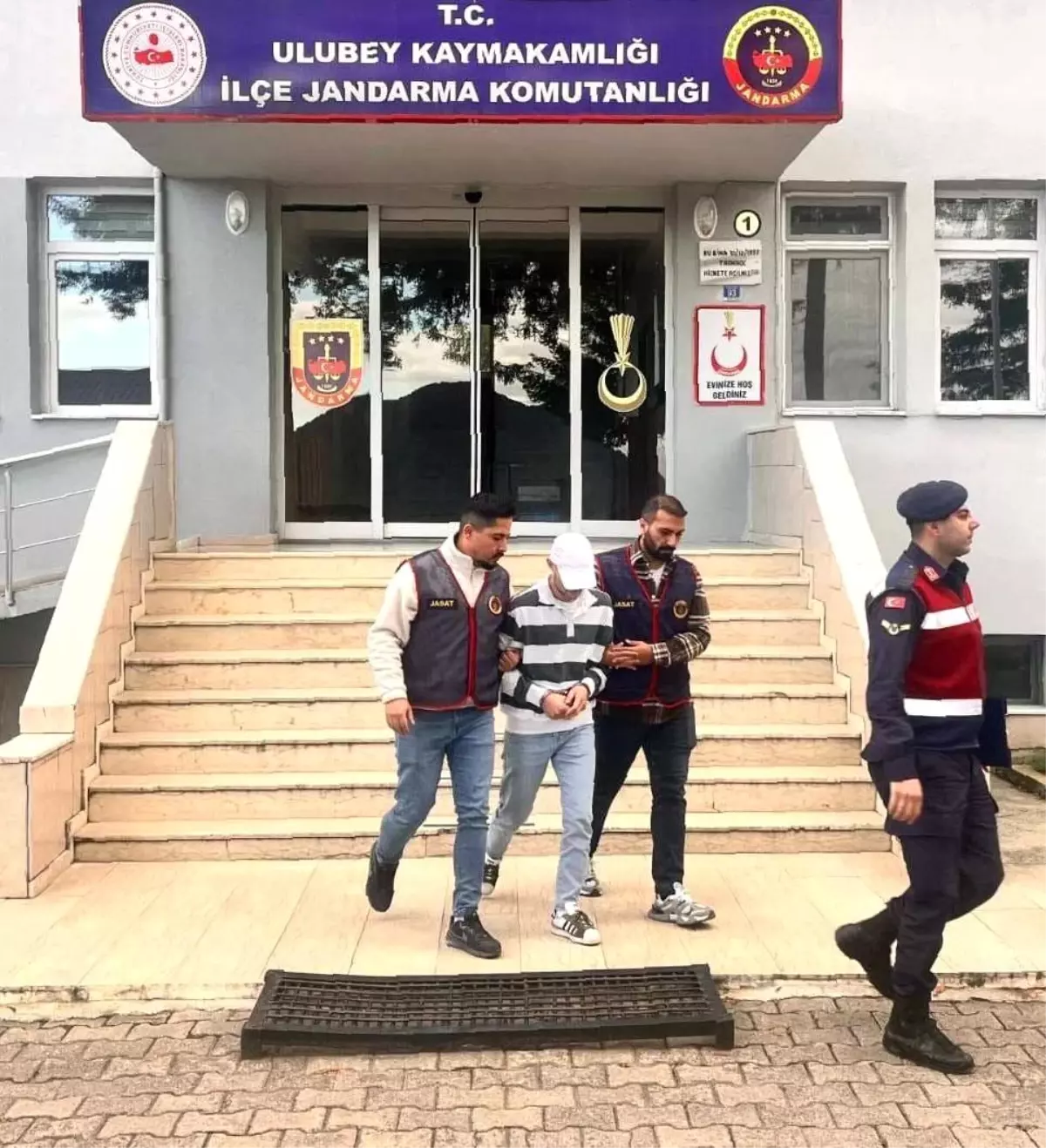 Ordu'da Fındık Hırsızlığı Şüphelisi Tutuklandı
