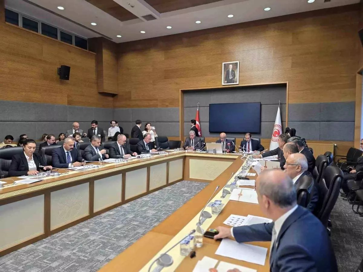 Milli Parklar'a ilişkin kanun teklifi Komisyon'da