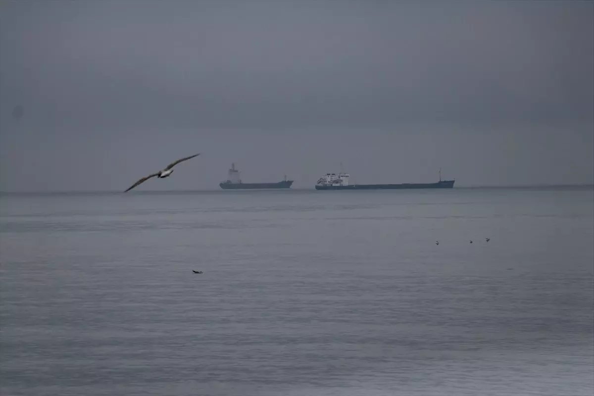 Tekirdağ'da Poyraz Etkisini Yitirdi, Deniz Ulaşımı Normale Döndü