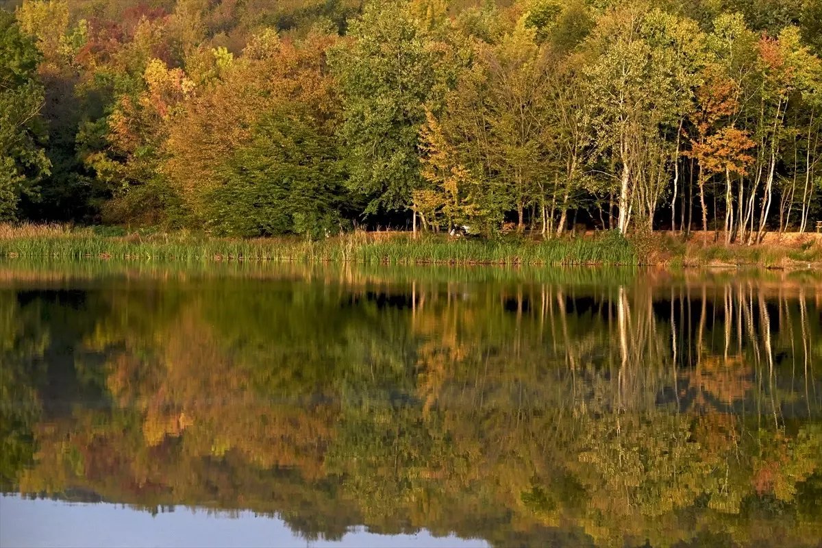 Düzce'deki Korugöl Tabiat Parkı Sonbahar Güzellikleriyle Ziyaretçilerini Ağırlıyor