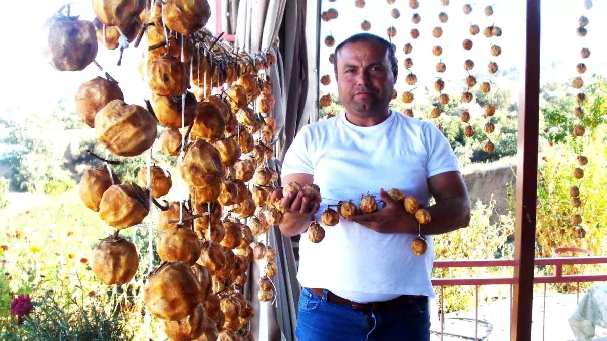 Manisa'da Cennet Elması Kurutma Geleneği Başladı