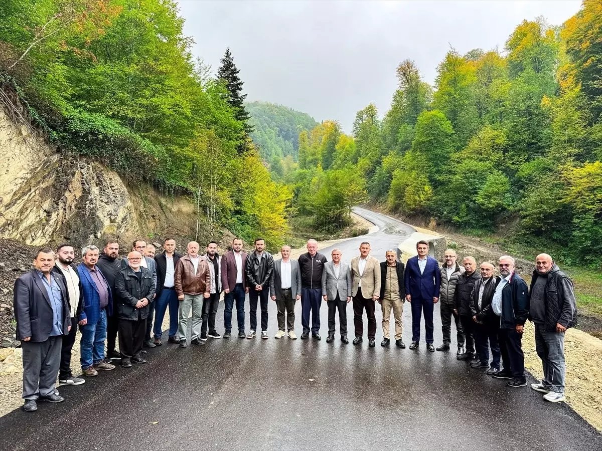 AK Parti Milletvekili Maviş, Çatak Köyü Grup Yolunu İnceledi