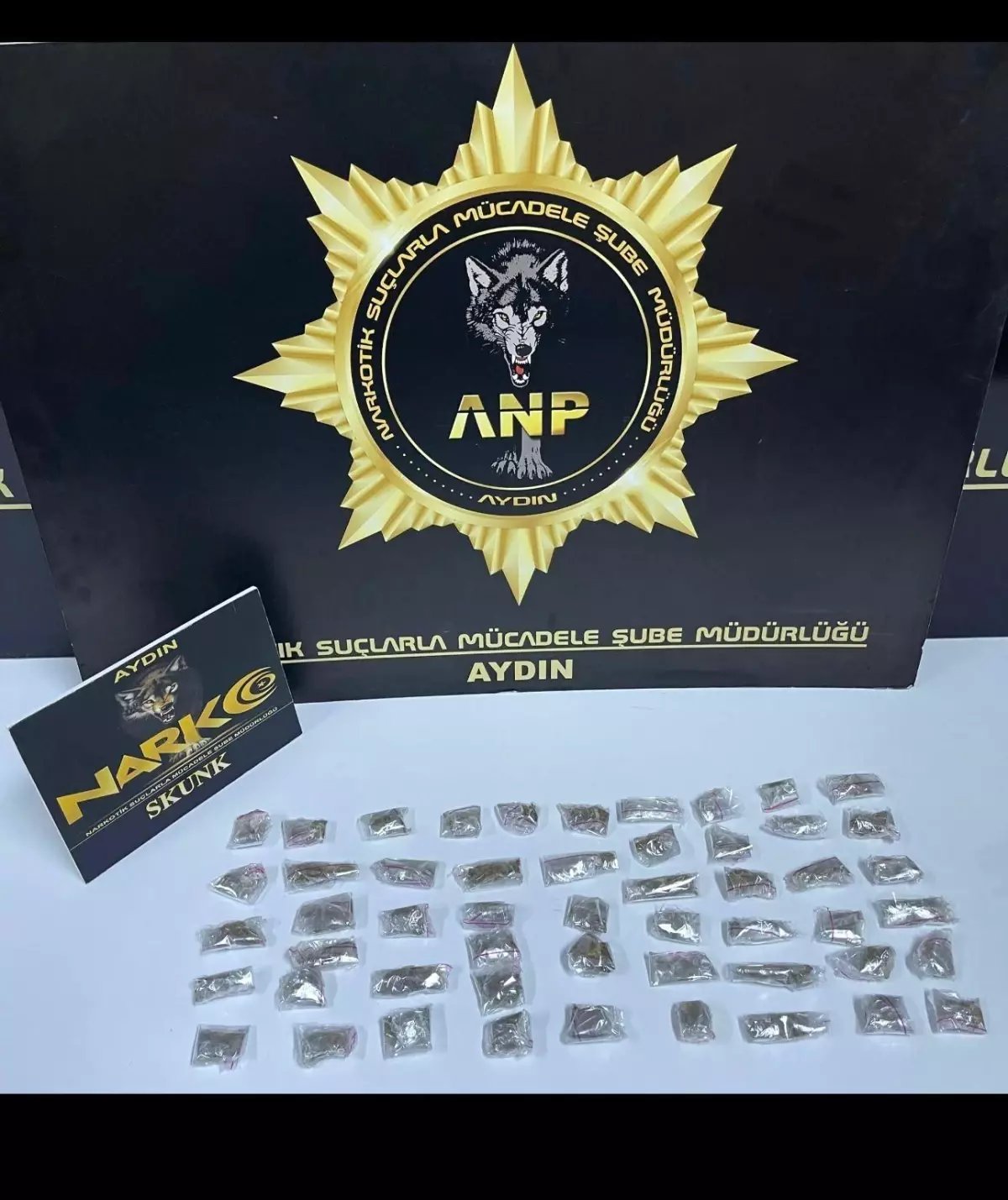 Aydın'da Uyuşturucu Ticareti Yapan Şahıs Tutuklandı