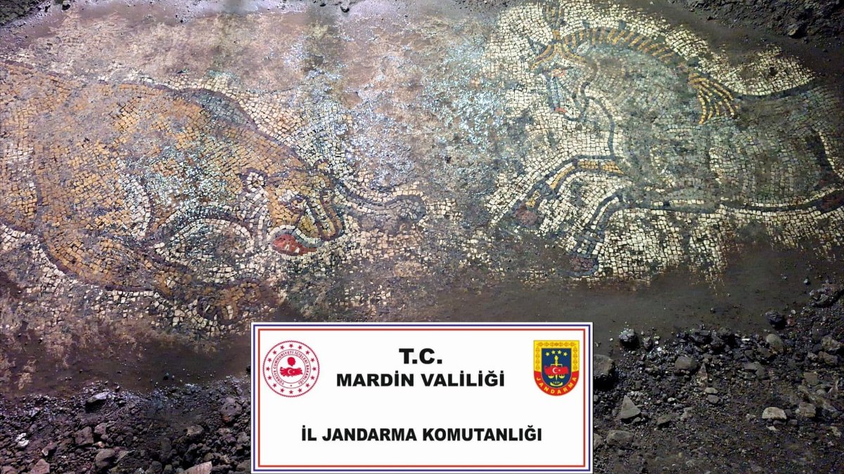 Mardin'de 1500 yıllık mozaik kaçakçıların eline geçmeden kurtarıldı