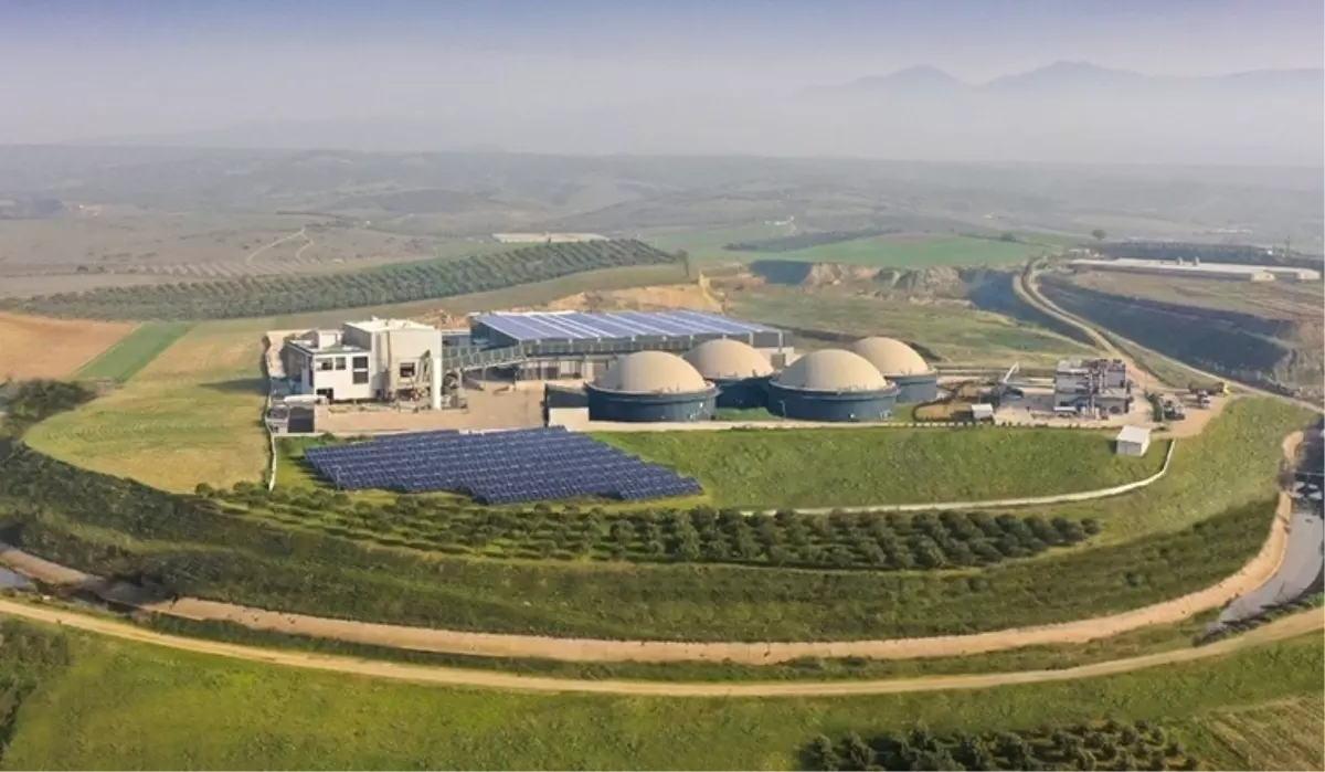 Ecogreen enerji halka arz ne zaman, kaç lot veriyor, yatırım endeksine uygun mu?