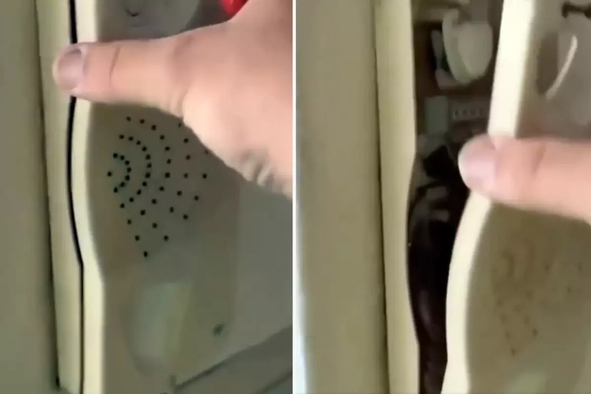 Kapı zilini söktü, gördükleri karşısında küçük dilini yuttu