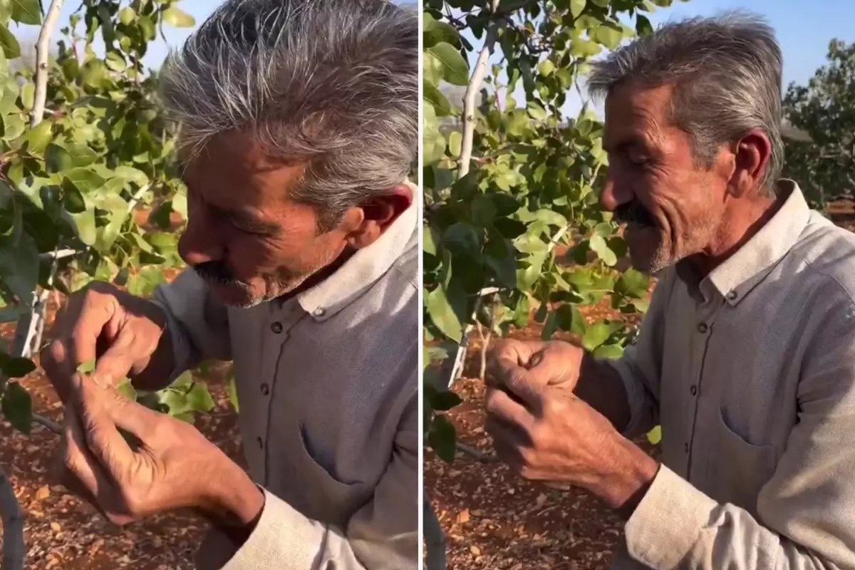 Ağaç yaprağından enstrüman yaptı. Çıkan sesin gerçeğinden hiç farkı yok