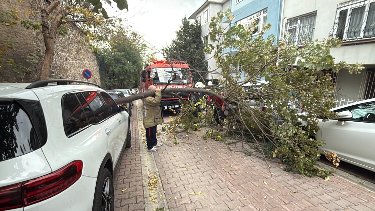 İstanbul’da şiddetli rüzgar etkili oldu: Ağaç ve elektrik direği araçların üstüne devrildi
