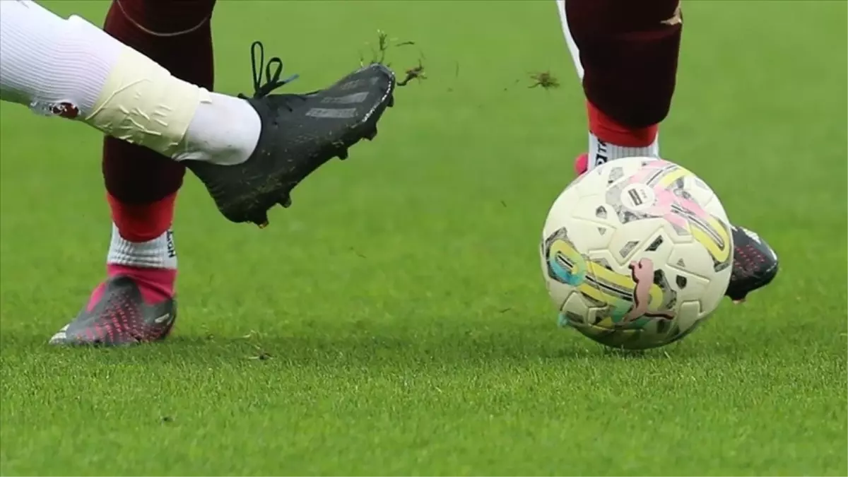 Moreirense Porto CANLI izle! (ŞİFRESİZ) Moreirense Porto maçı hangi kanalda, nasıl izlenir?