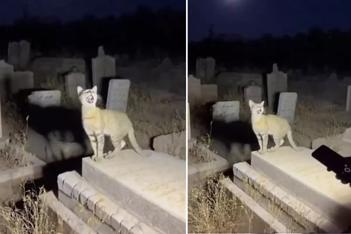 Yapay zekanın geldiği son nokta: Binlerce kişi gerçek sanıp paylaştı