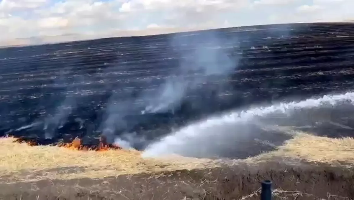 Diyarbakır'ın Silvan ilçesinde anız yangını