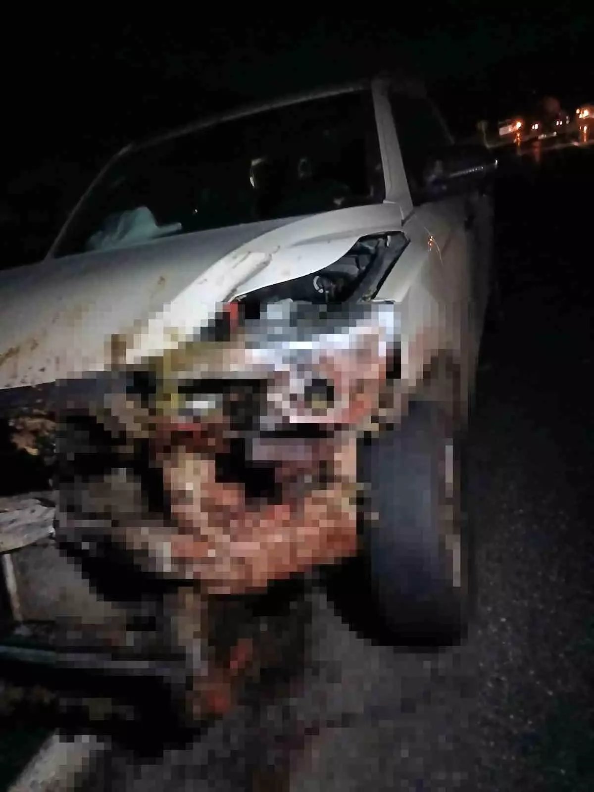 Elazığ'da Kamyonet Sürüye Çarptı: 30 Küçükbaş Hayvan Telef Oldu