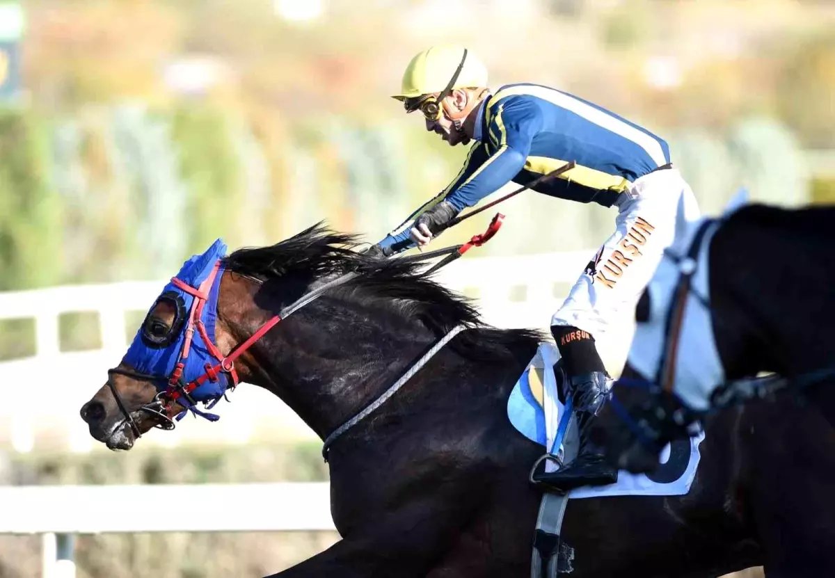 Cumhuriyet Koşuları Ankara Hipodromu'nda Gerçekleşti