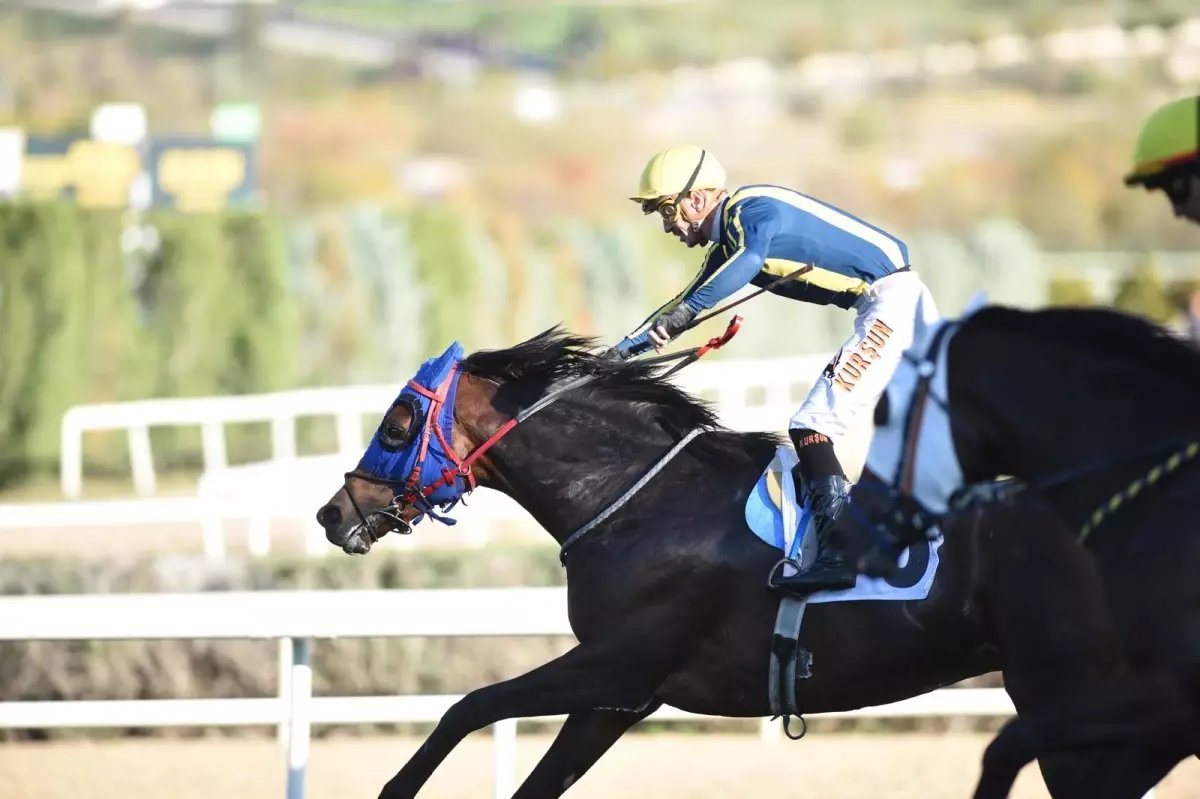 Cumhuriyet Haftası'nda At Yarışlarının Coşkusu