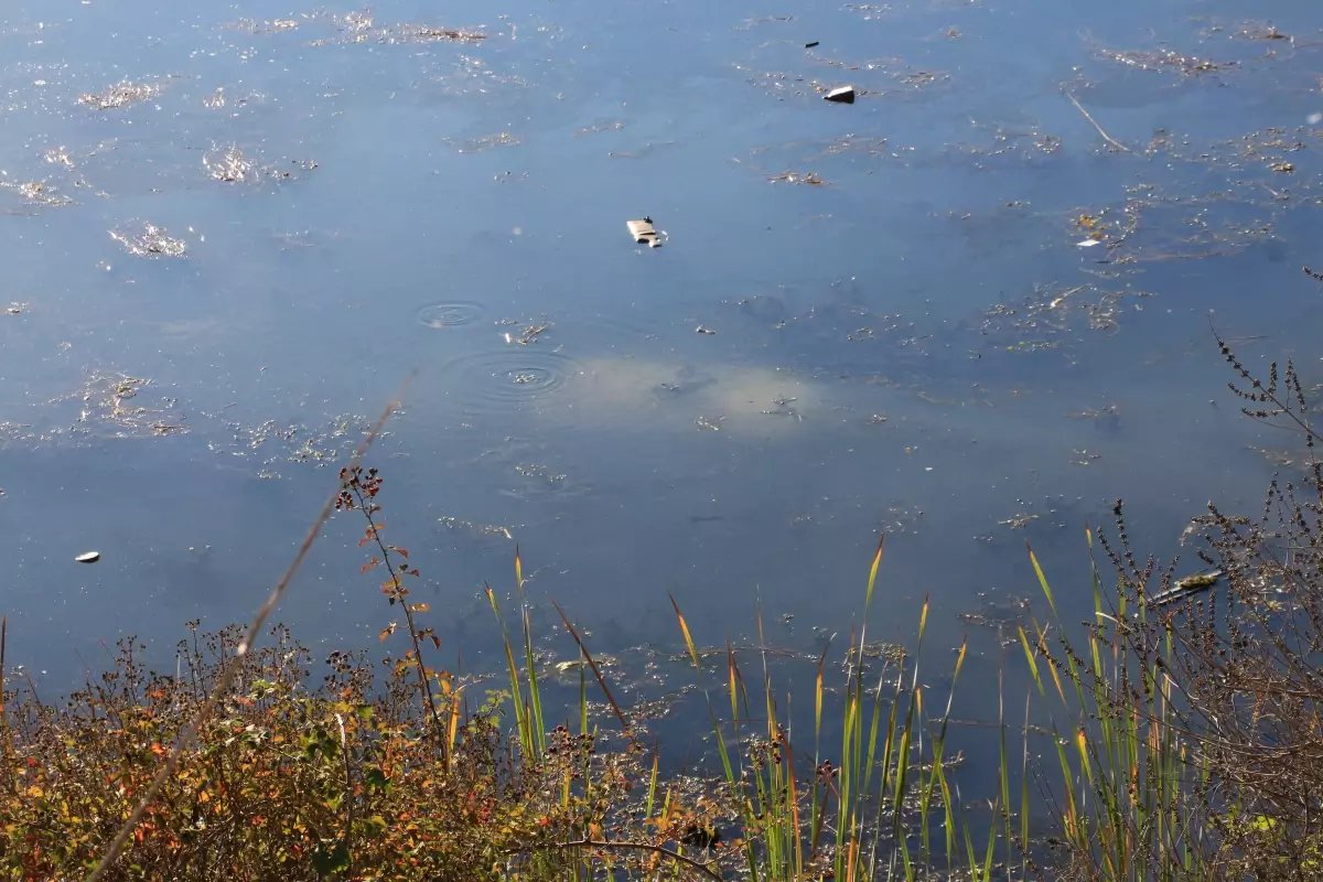 Ehliyetsiz Sürücünün Gölete Düşen Aracı Kurtarıldı