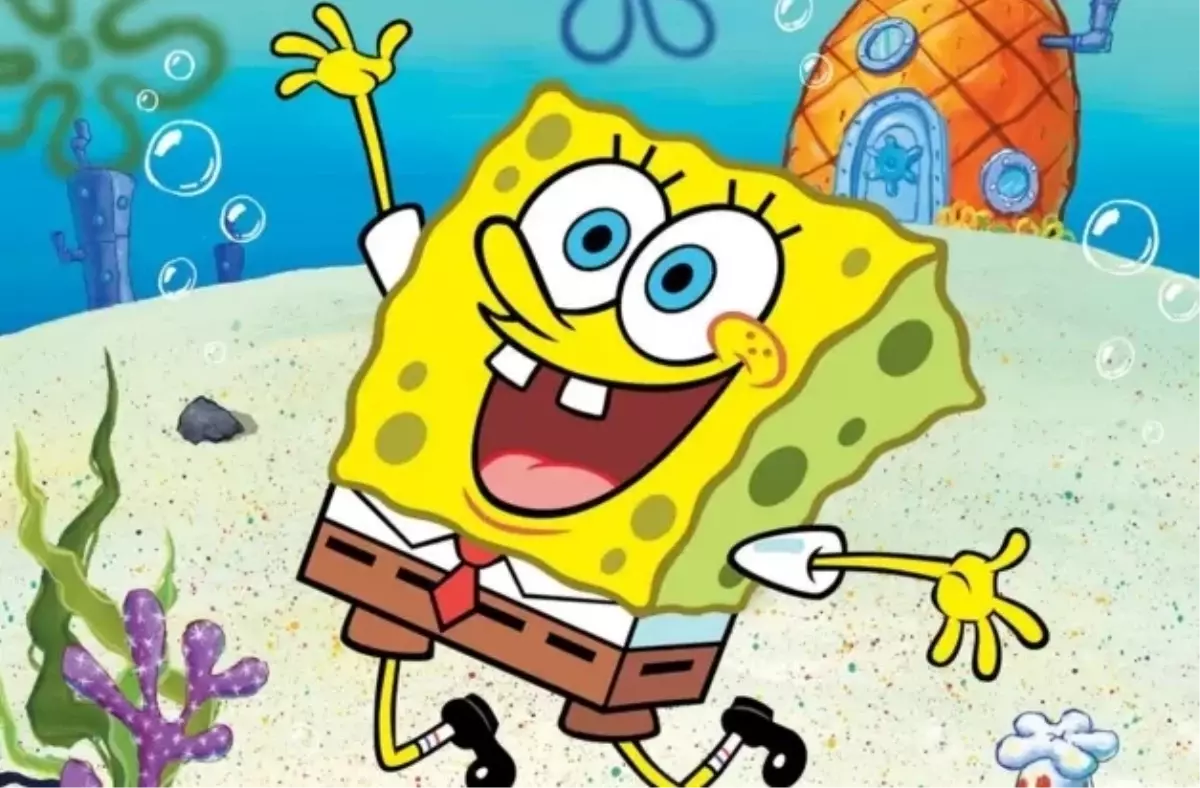 Sünger Bob aşçı mı, çizgi filmde mesleği ne?