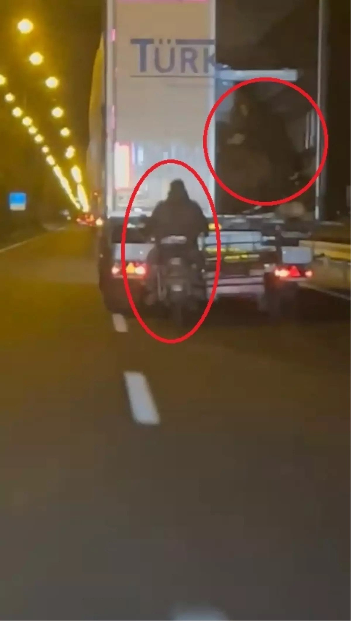 Diyarbakır'da TIR'dan Koyun Çalan Şahıslar Kamerada