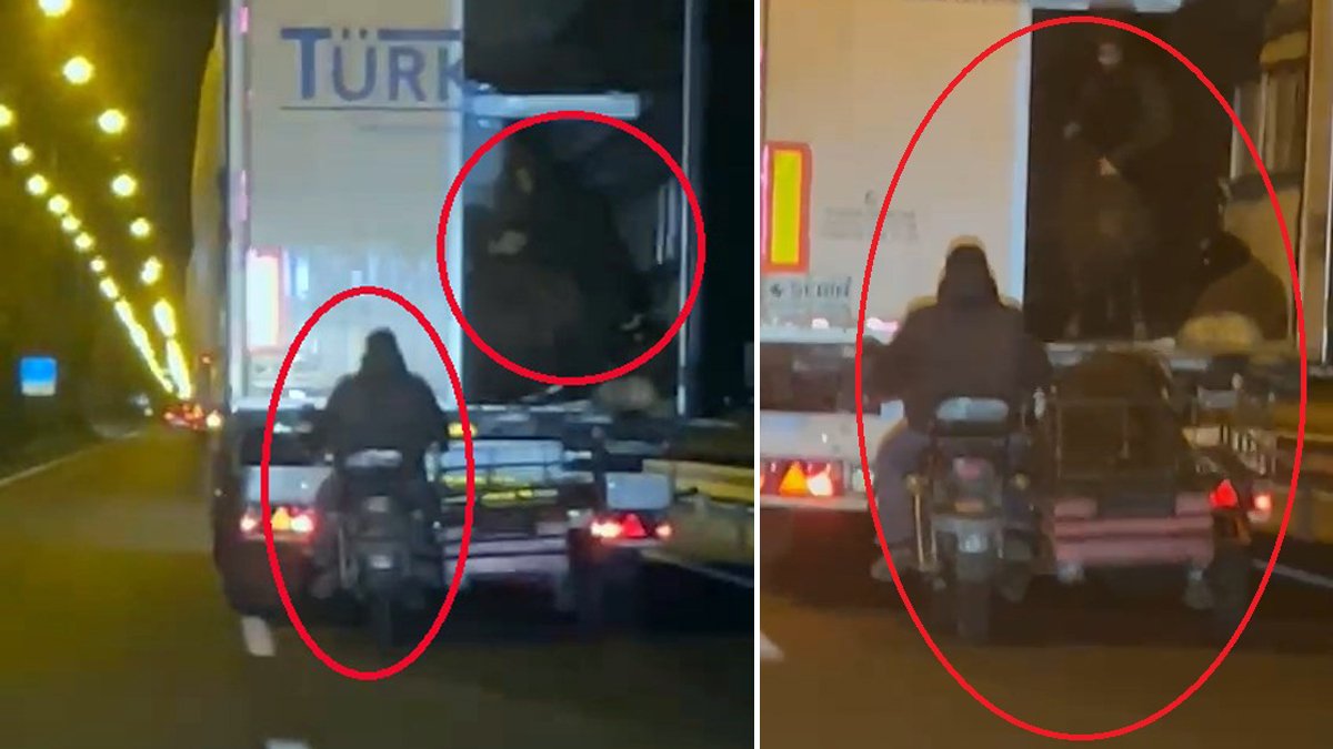 Diyarbakır’da film sahnelerini aratmayan hırsızlık: Seyir halindeki TIR’dan koyun çaldılar