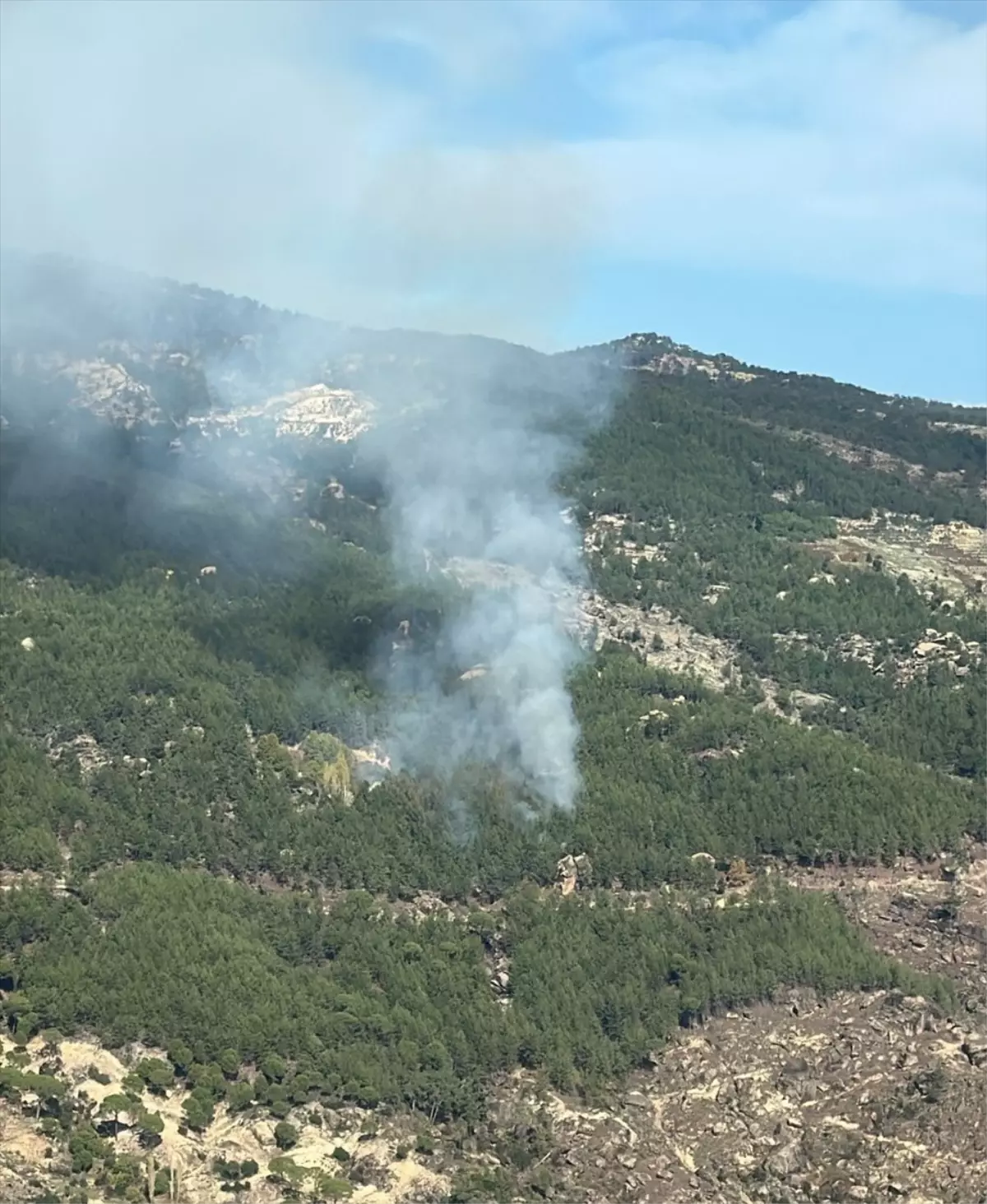 Muğla'da Orman Yangınına Havadan ve Karadan Müdahale