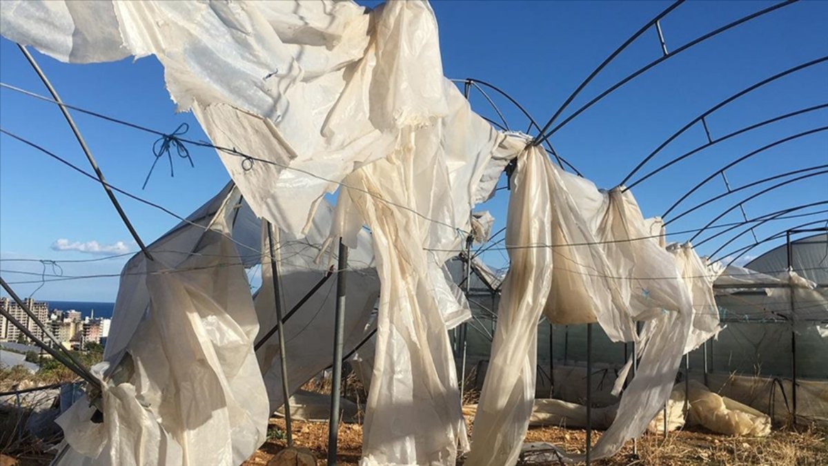 Ekimde üreticilere 11,6 milyar lira hasar tazminatı ödendi