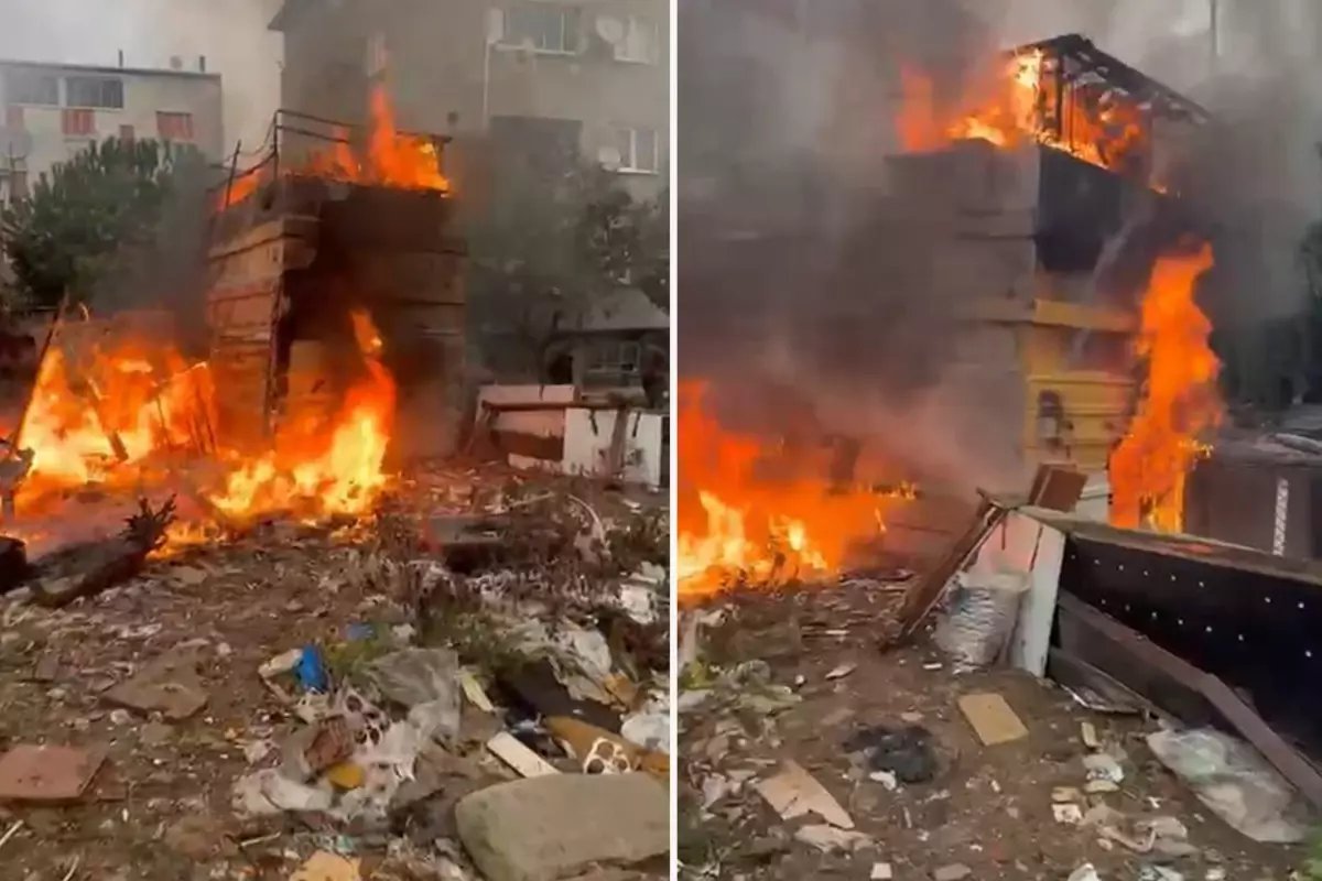 Avcılar'da kümes yangını: 50 hayvan öldü