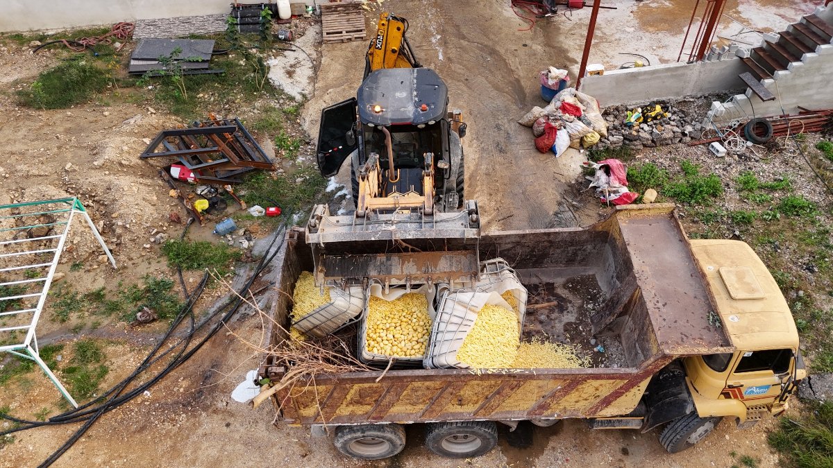 Antalya'da sağlıksız patates üretimi yapan işletmeye baskın
