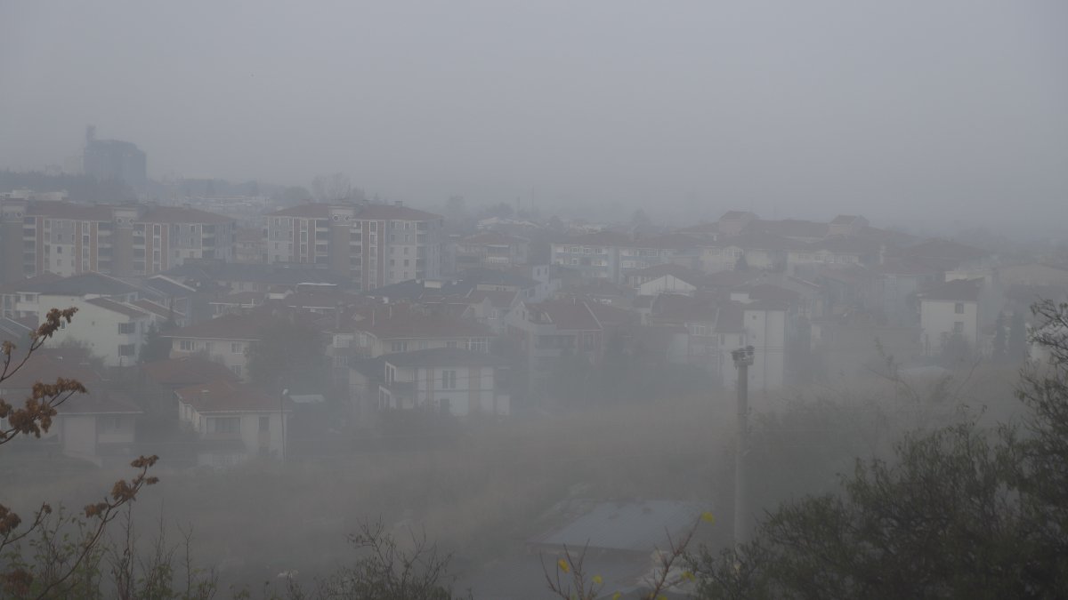 Edirne'de yoğun sis: Görüş mesafesi 30 metreye düştü