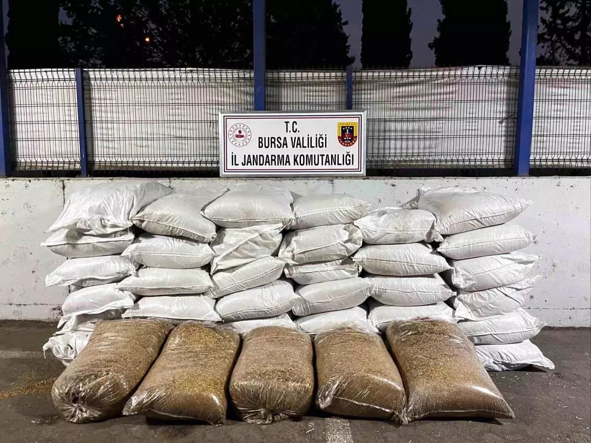 Bursa'da Kaçak Sigara Operasyonu: 434 Bin Makaron Ele Geçirildi