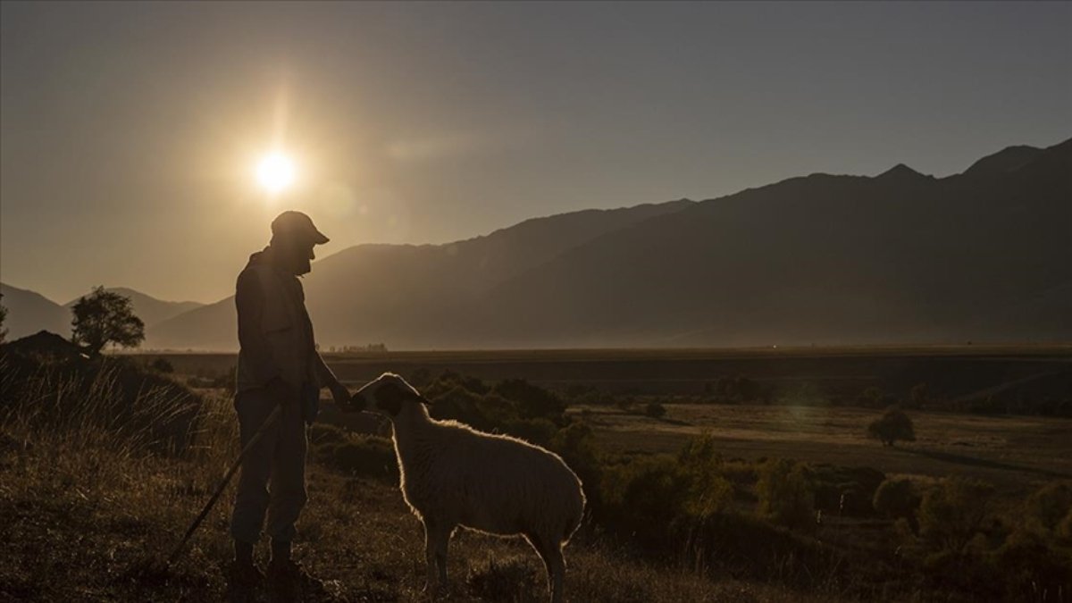 Kırsal nüfus oranının artırılması için ilave tedbirler geliyor