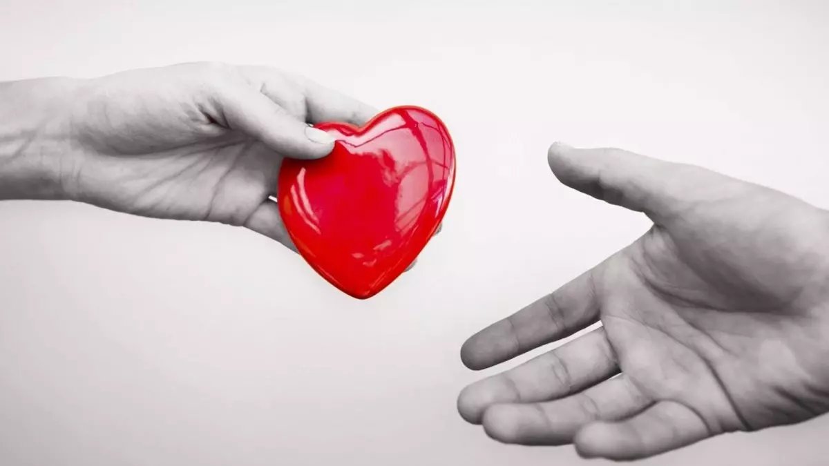 Organ nakliyle 8 hayat kurtulabilir: Türkiye'de 35 bin kişi böbrek nakli bekliyor"