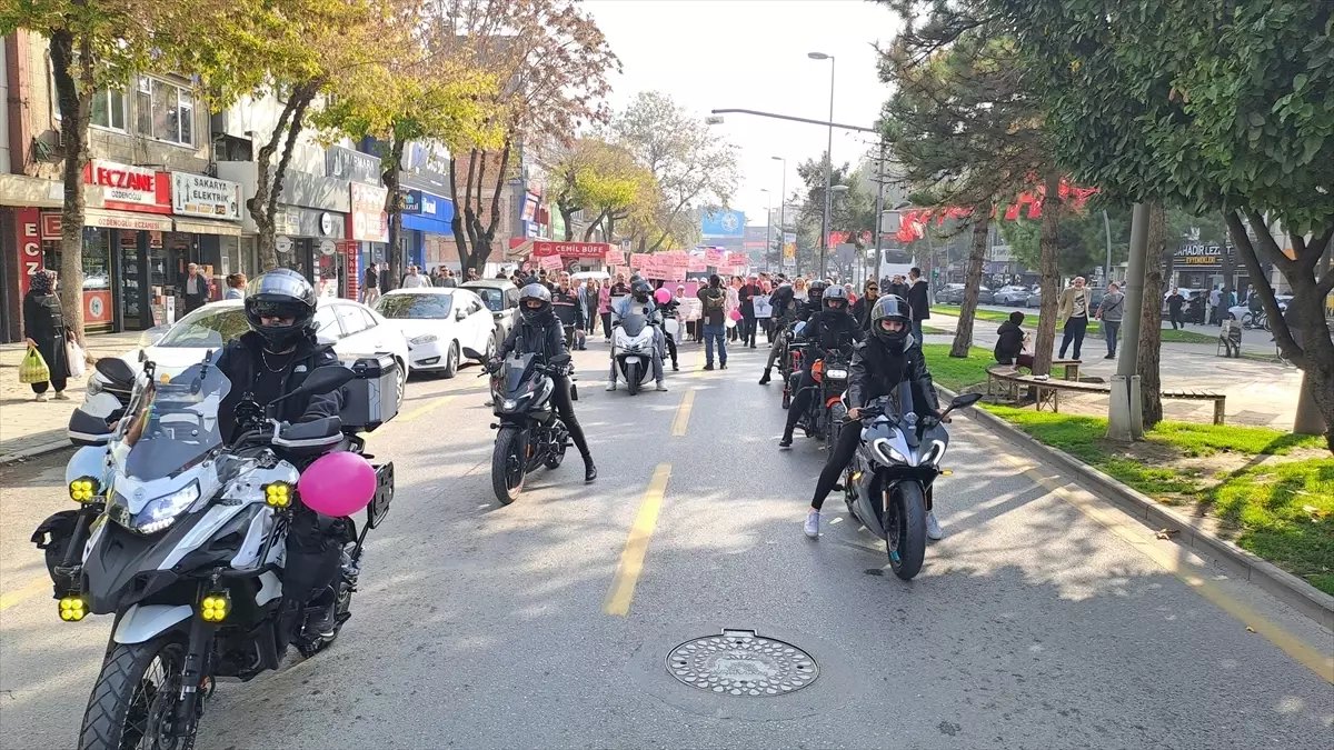 Sakarya'da Kanserle Mücadele Yürüyüşü Düzenlendi