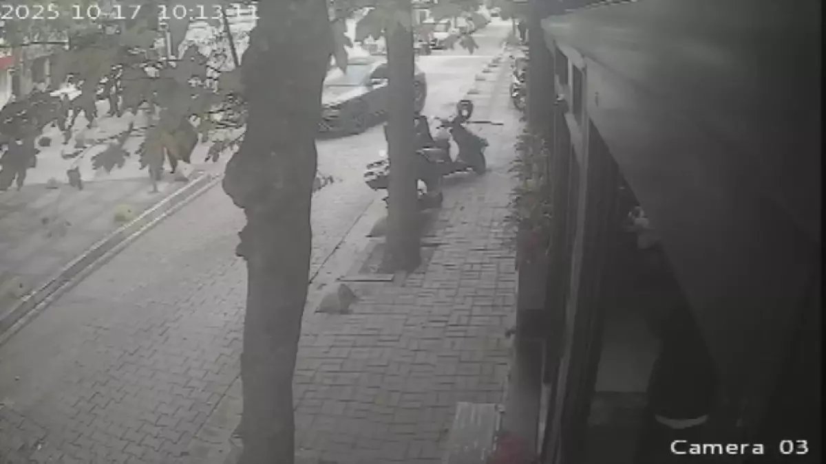 Kedileri Besleyen İş İnsanı Darbedildi