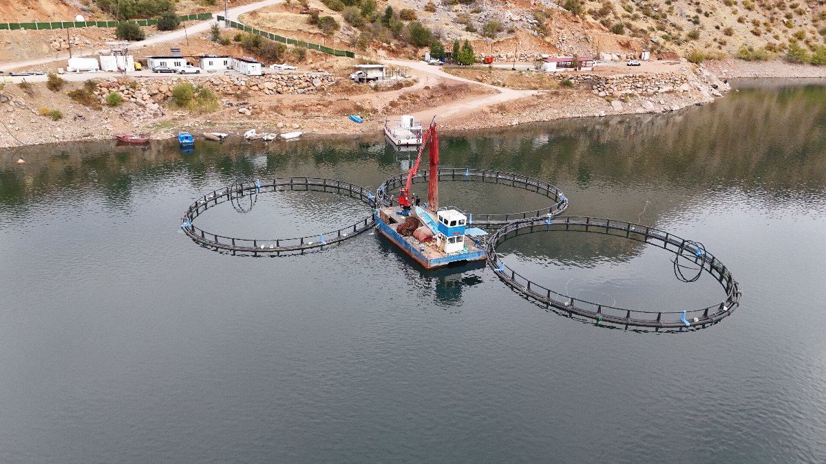Diyarbakır'dan dünyaya "Mezopotamya somonu" gönderilecek