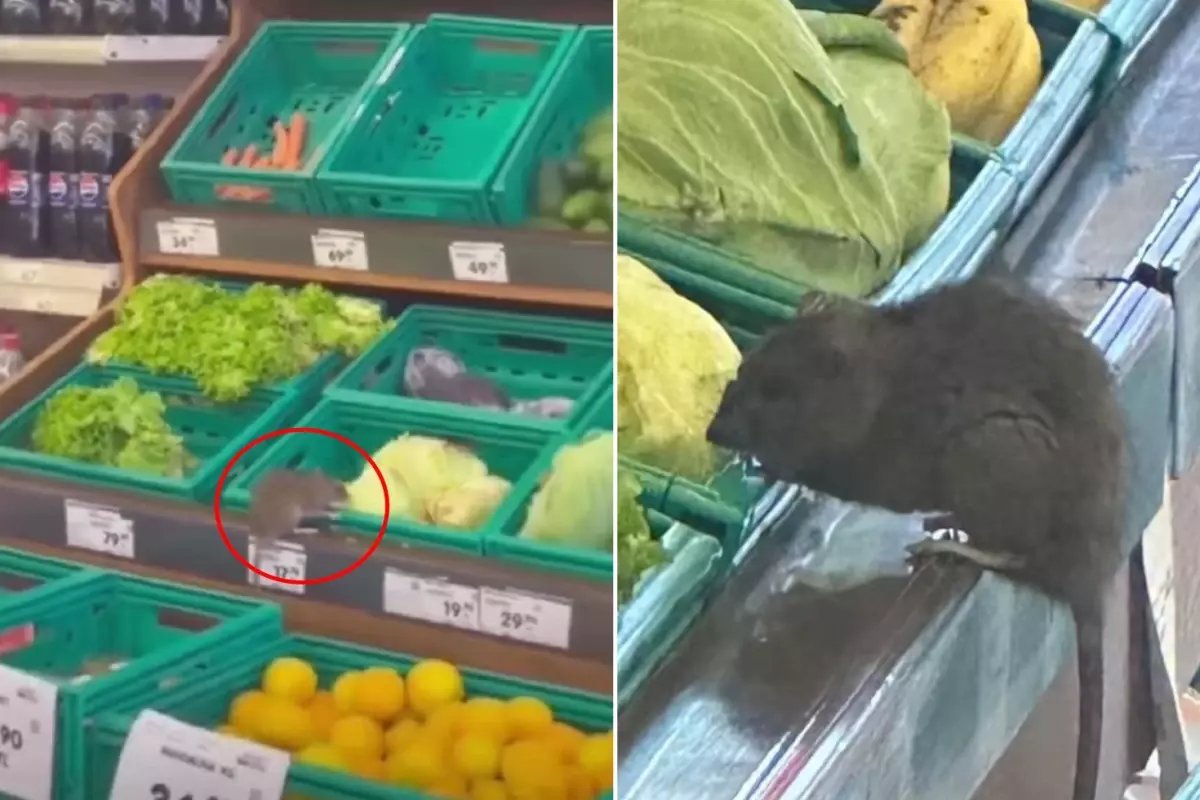 3 harfli market zincirinde skandal görüntü