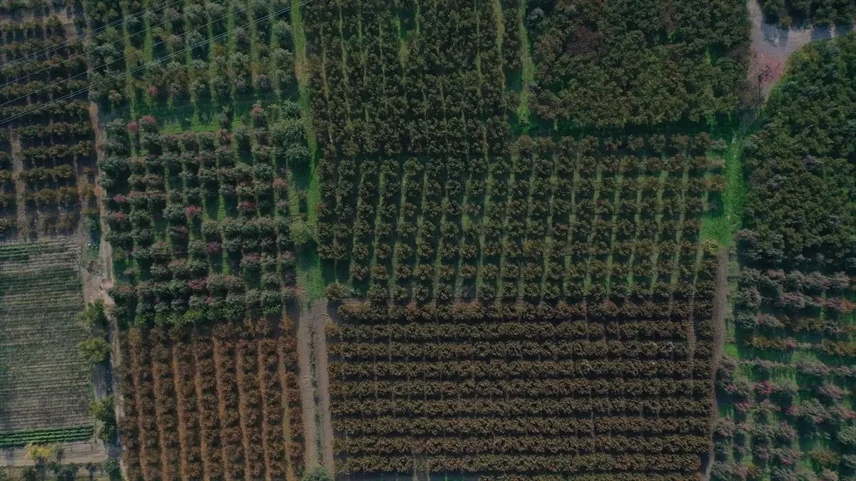 Bursa'da Yer Altı Sularındaki Azalma Kısmi Çökmelere Yol Açabilir