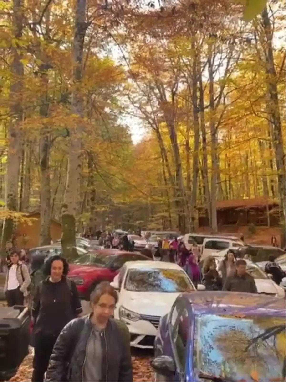 Yoğunluk Nedeniyle Yedigöller Milli Parkı'na Girişler Sınırlı