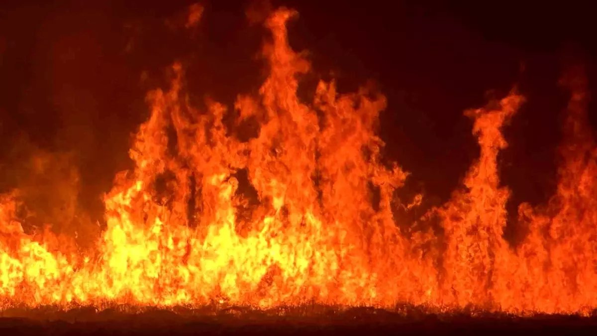 Yüksekova'daki Nehil Sazlığı'nda Yangın: Yerleşim Alanları Tehdit Altında