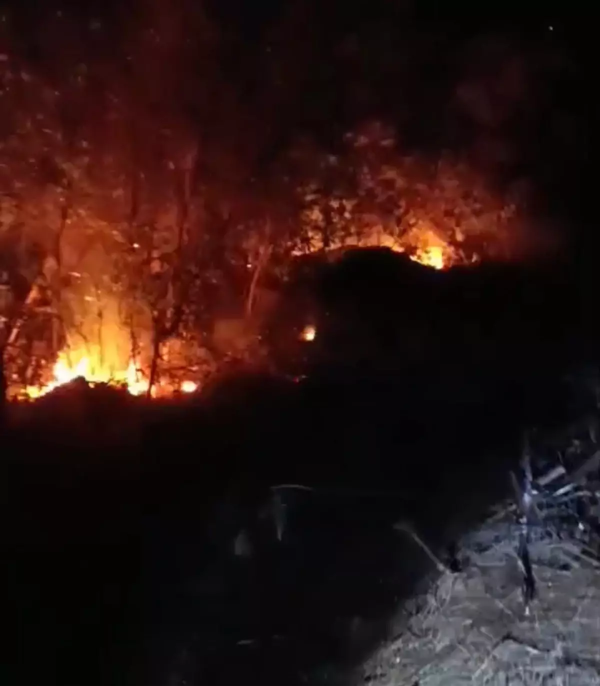 Hatay'da Yıldırım Düşmesi Sonucu Orman Yangınları Kontrol Altına Alındı