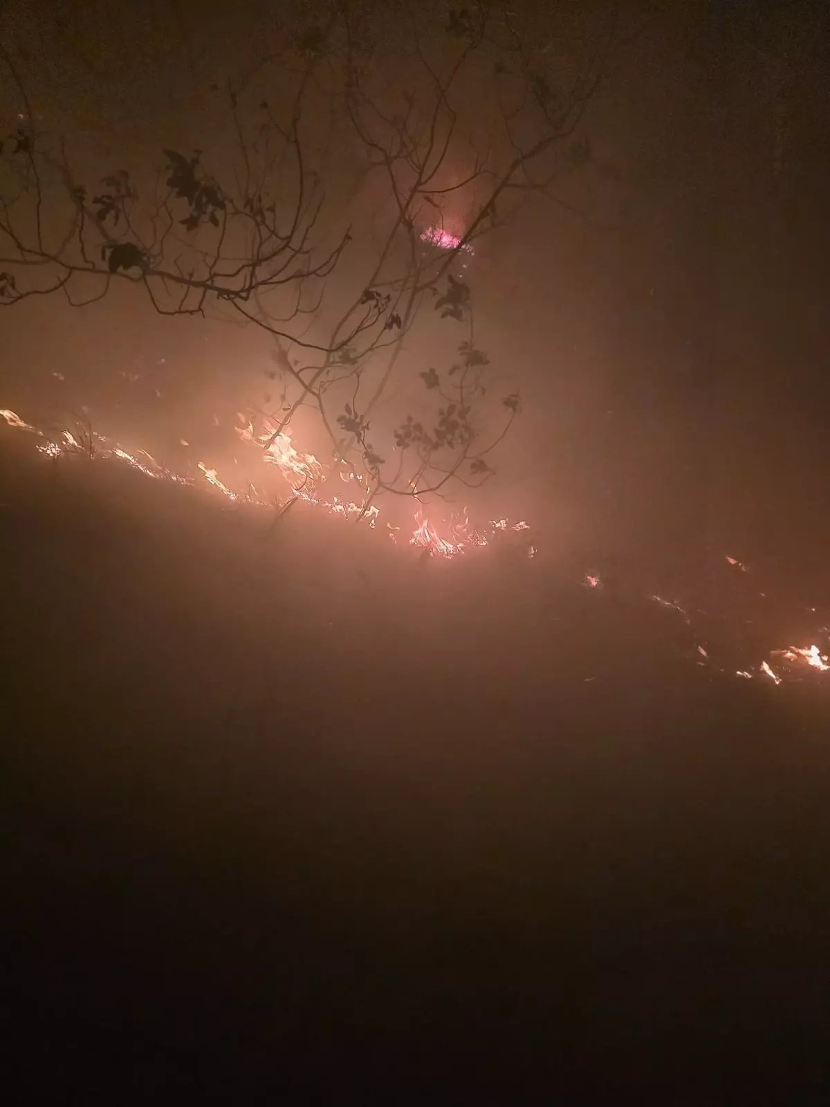 Hatay'da Yıldırım Düşmesi Sonucu Orman Yangını