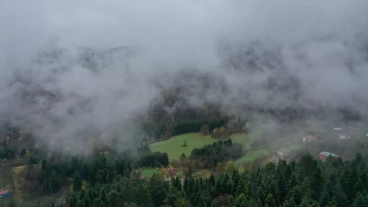 Kastamonu'da Sonbahar ve Sis Görsel Şölene Dönüştü