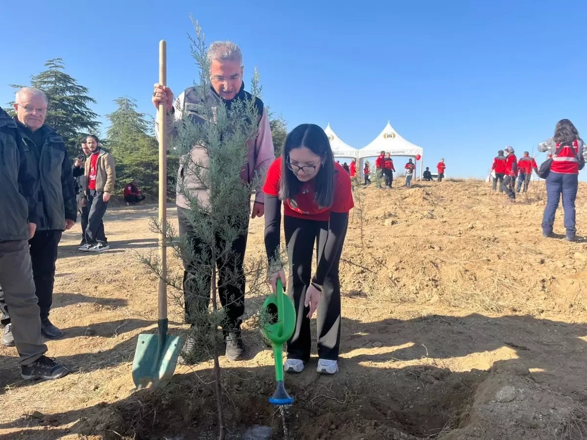 Şehit Gönüllüler İçin Hatıra Ormanları Oluşturuldu
