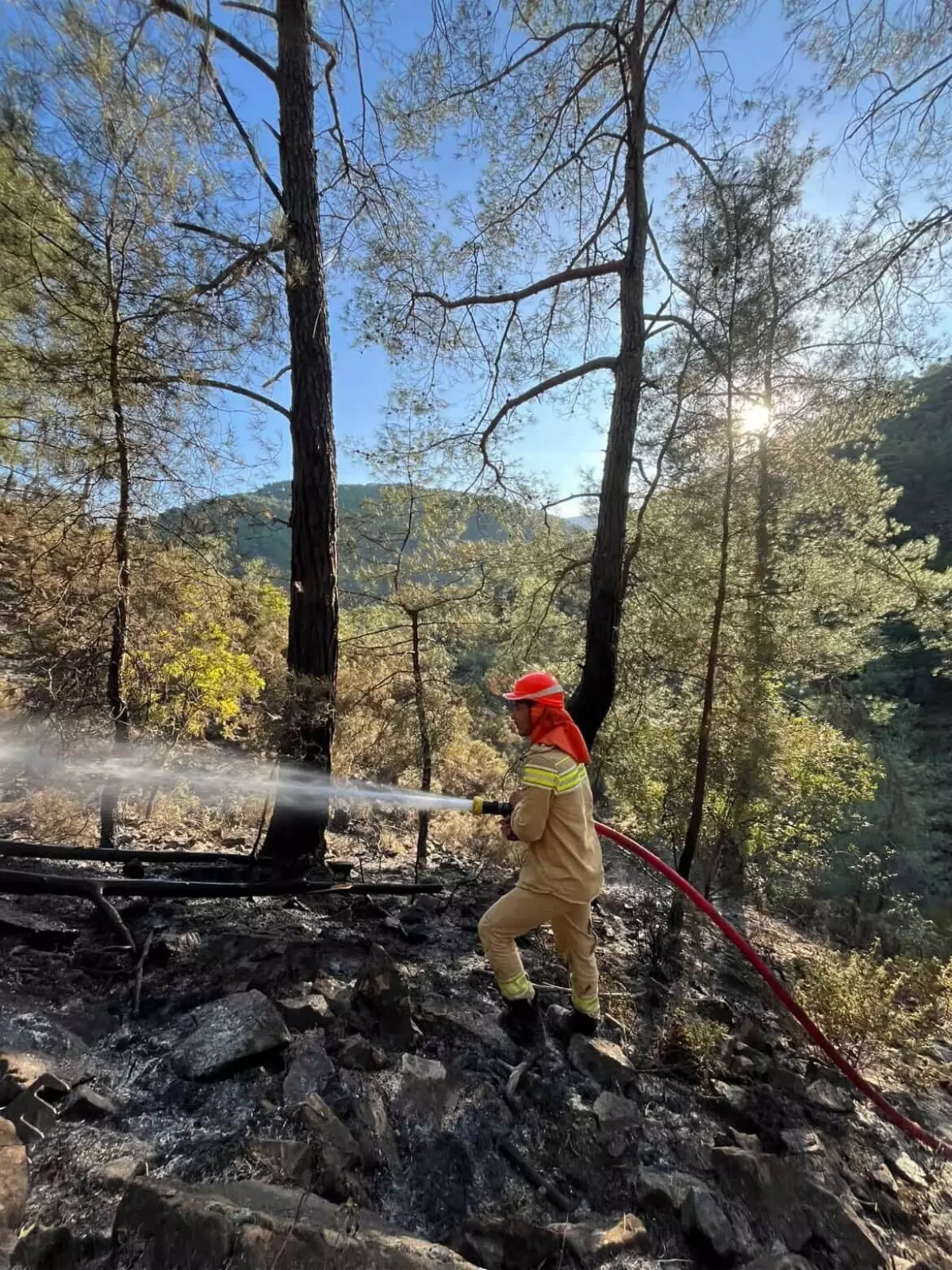 Muğla'daki Yangın Kontrol Altına Alındı