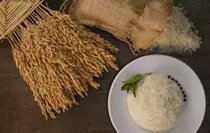 İpsala Pirinci, Avrupa Birliği Coğrafi İşaret Tescili Aldı