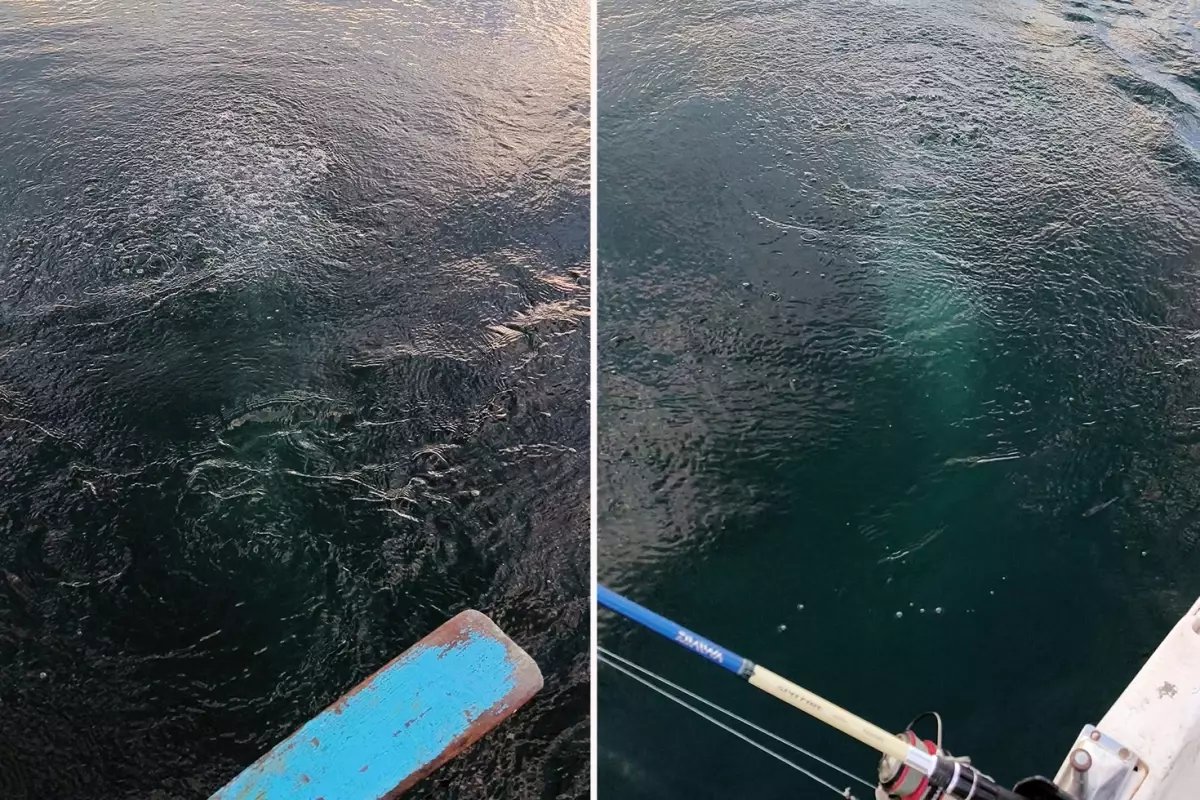 Bir şehrimiz, sudaki esrarengiz görüntüyü konuşuyor: Bayağı kaynıyor