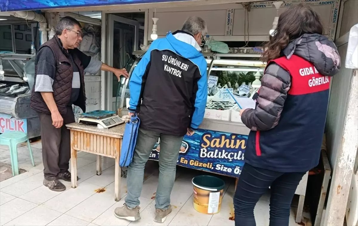 Gelibolu'da Balık Satışı Denetimleri Gerçekleştirildi