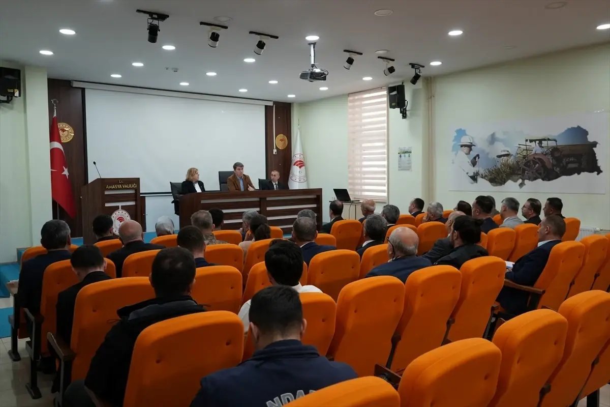 Amasya'da Hayvanları Koruma Kurulu toplantısı gerçekleştirildi