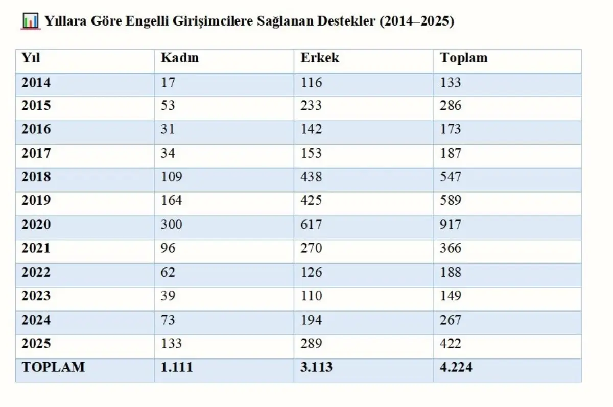 Kadınlar, Gençler ve Engellilere İstihdam Desteği