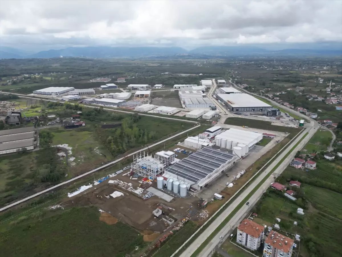 Çarşamba Organize Sanayi Bölgesi'nde İhracat Hız Kesmeden Devam Ediyor