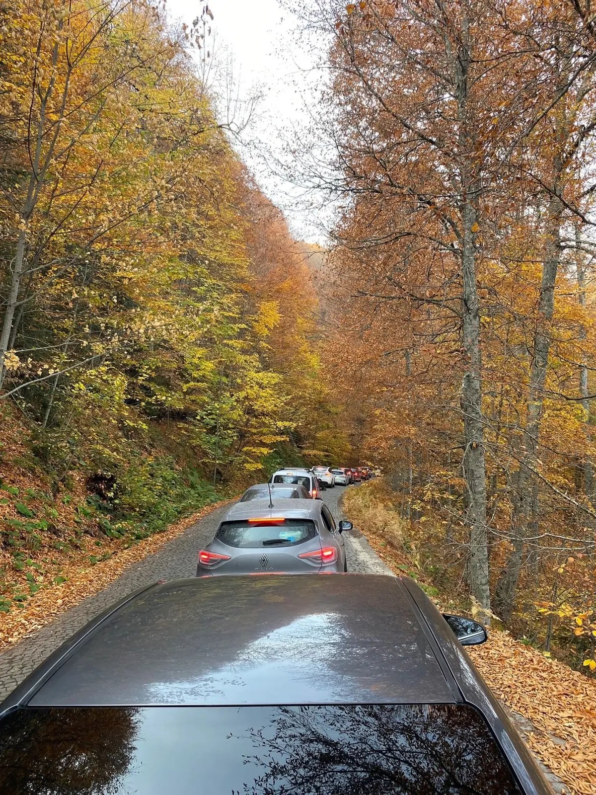 Yedigöller Milli Parkı'nı 180 Bin Kişi Ziyaret Etti